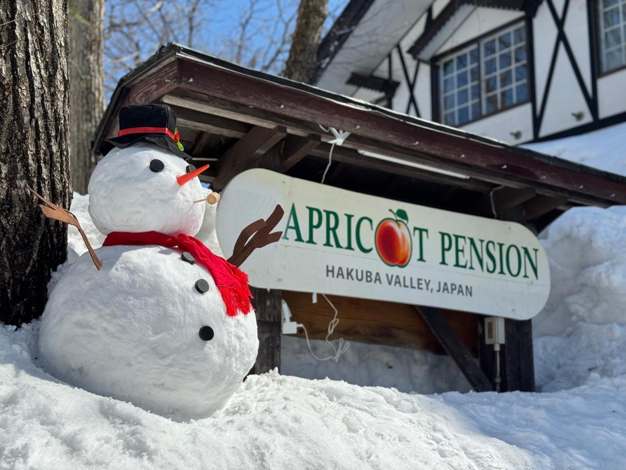 Apricot Pension Hakuba Exteriér fotografie