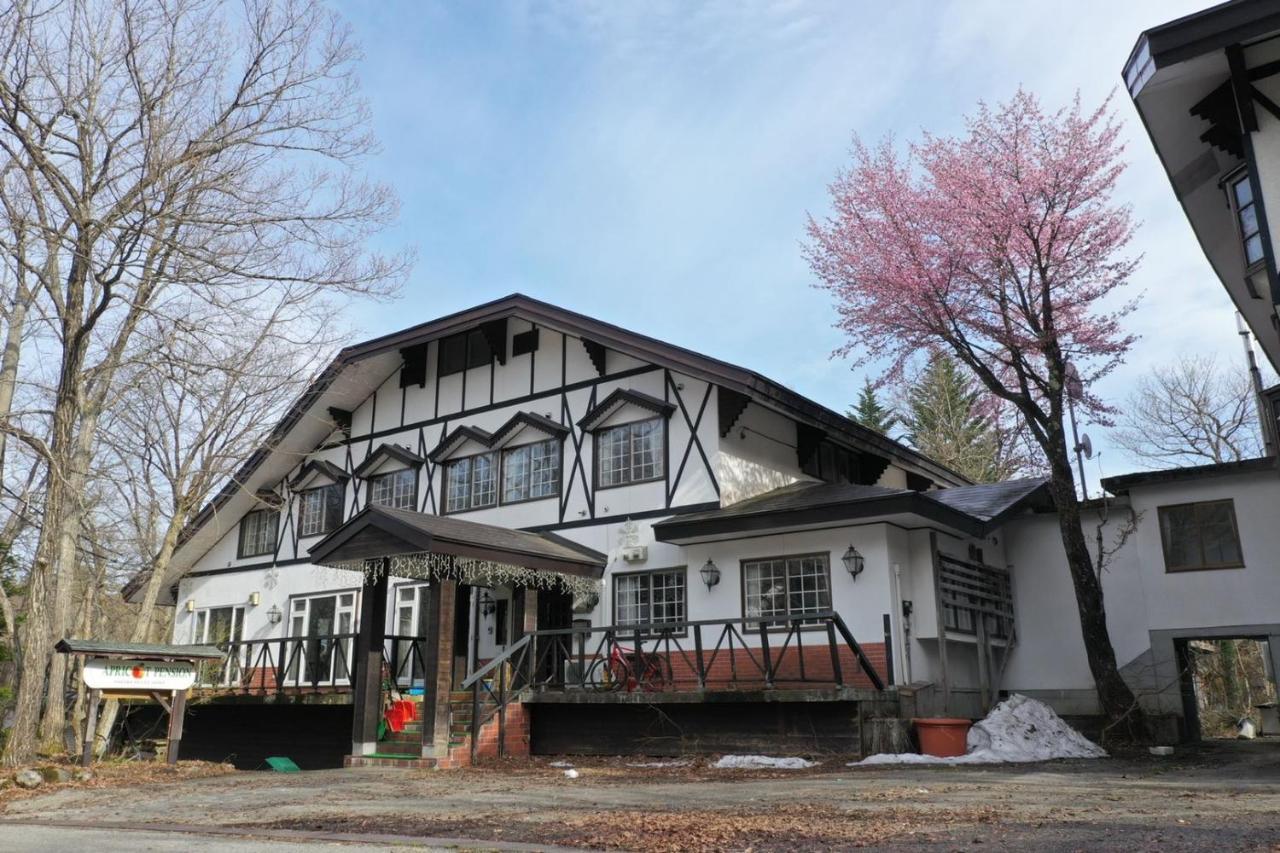 Apricot Pension Hakuba Exteriér fotografie