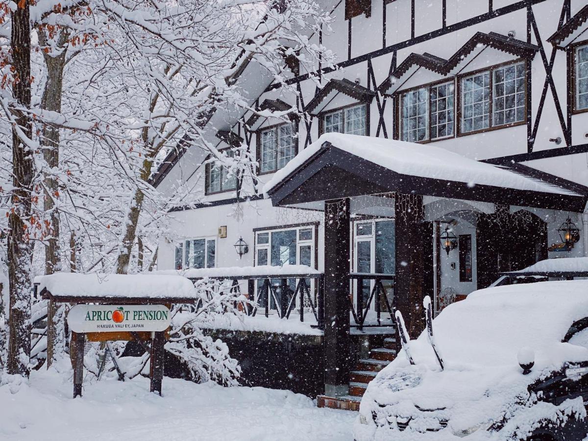 Apricot Pension Hakuba Exteriér fotografie