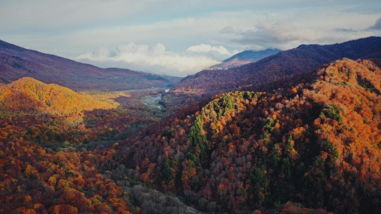 Apricot Pension Hakuba Exteriér fotografie