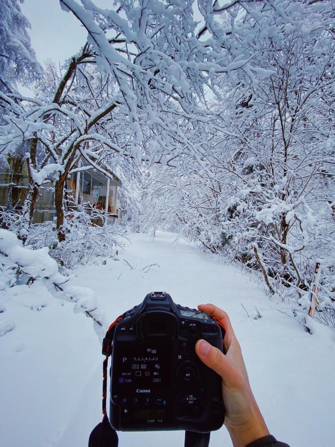 Apricot Pension Hakuba Exteriér fotografie