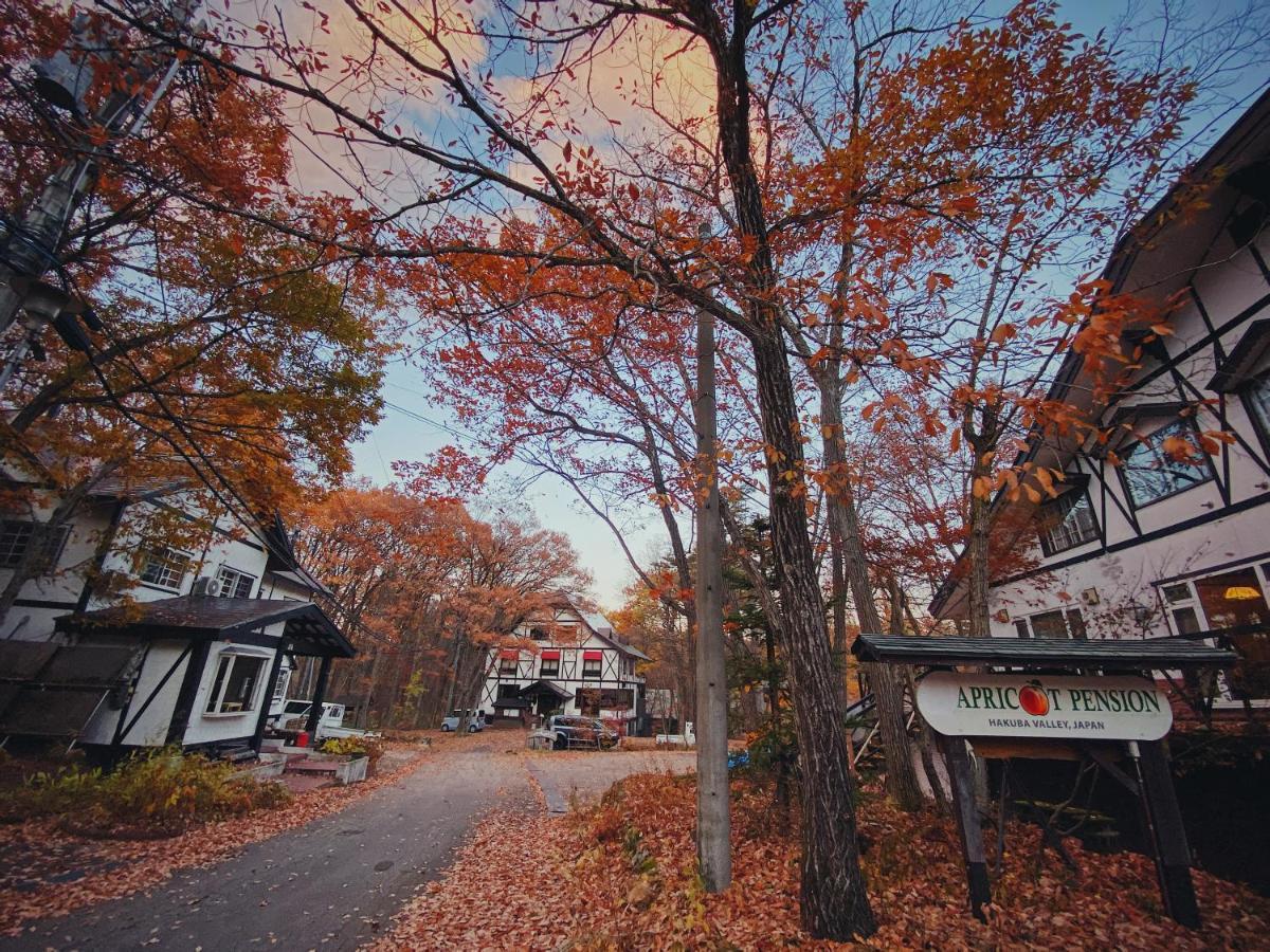 Apricot Pension Hakuba Exteriér fotografie